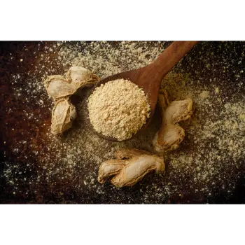 ginger (15)-2046197-73797.webp